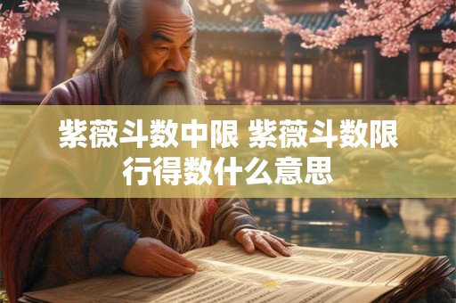 紫薇斗数中限 紫薇斗数限行得数什么意思