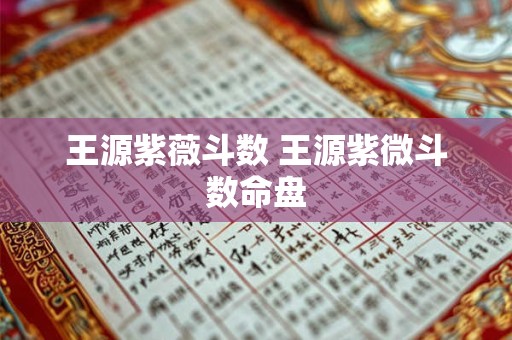 王源紫薇斗数 王源紫微斗数命盘