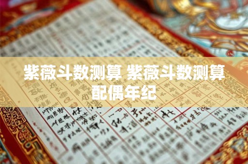 紫薇斗数测算 紫薇斗数测算配偶年纪