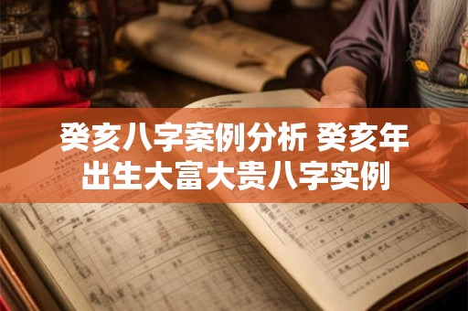 癸亥八字案例分析 癸亥年出生大富大贵八字实例