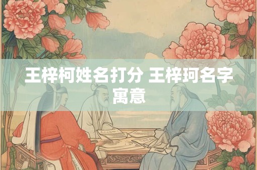 王梓柯姓名打分 王梓珂名字寓意