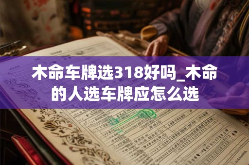 木命车牌选318好吗_木命的人选车牌应怎么选