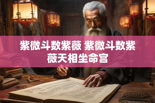 紫微斗数紫薇 紫微斗数紫薇天相坐命宫
