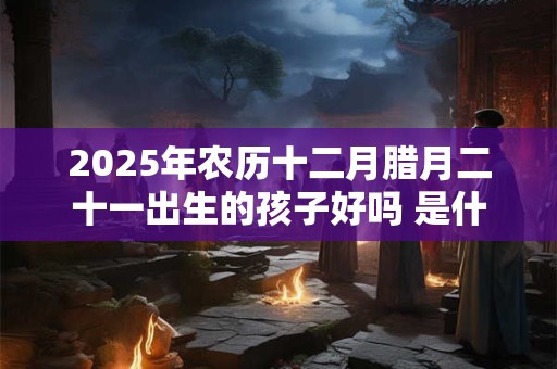 2025年农历十二月腊月二十一出生的孩子好吗 是什么命