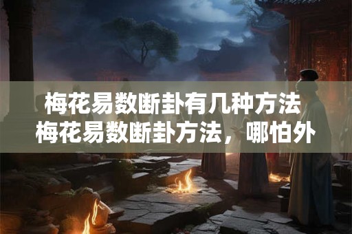 梅花易数断卦有几种方法 梅花易数断卦方法，哪怕外行也能懂