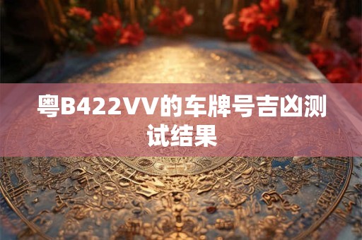 粤B422VV的车牌号吉凶测试结果