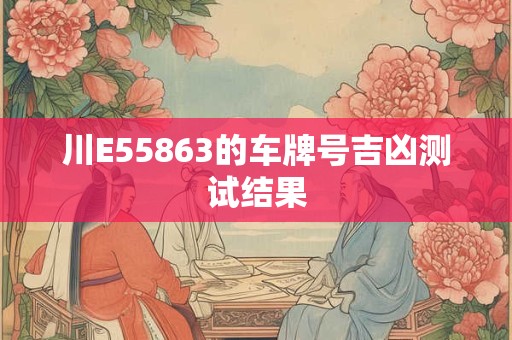 川E55863的车牌号吉凶测试结果