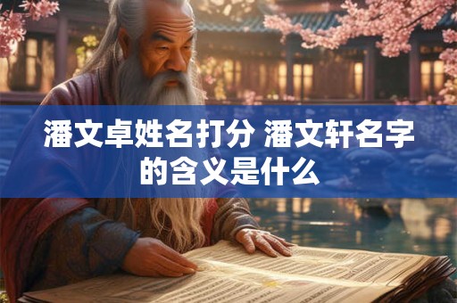 潘文卓姓名打分 潘文轩名字的含义是什么