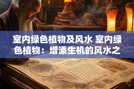 室内绿色植物及风水 室内绿色植物：增添生机的风水之选