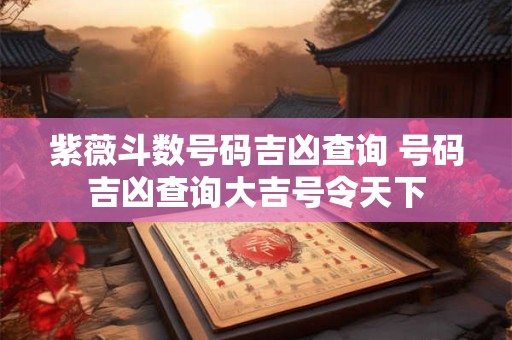 紫薇斗数号码吉凶查询 号码吉凶查询大吉号令天下