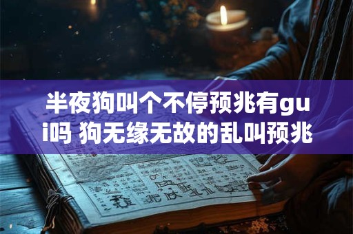 半夜狗叫个不停预兆有gui吗 狗无缘无故的乱叫预兆 半夜狗叫个不停预兆有gui吗 狗无缘无故的乱叫预兆