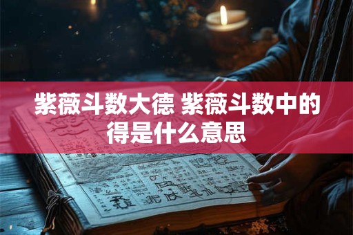 紫薇斗数大德 紫薇斗数中的得是什么意思