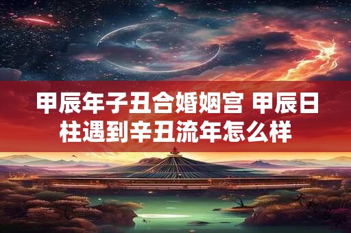 甲辰年子丑合婚姻宫 甲辰日柱遇到辛丑流年怎么样
