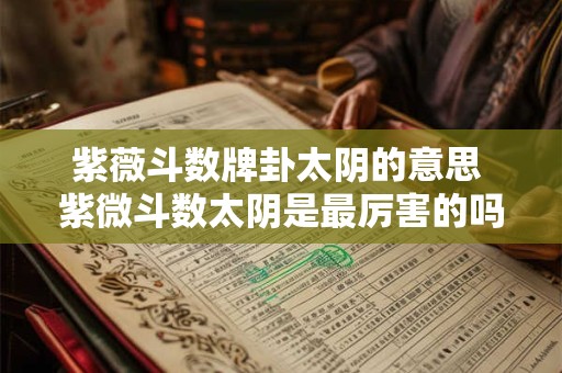 紫薇斗数牌卦太阴的意思 紫微斗数太阴是最厉害的吗