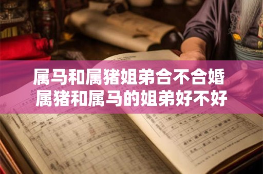 属马和属猪姐弟合不合婚 属猪和属马的姐弟好不好