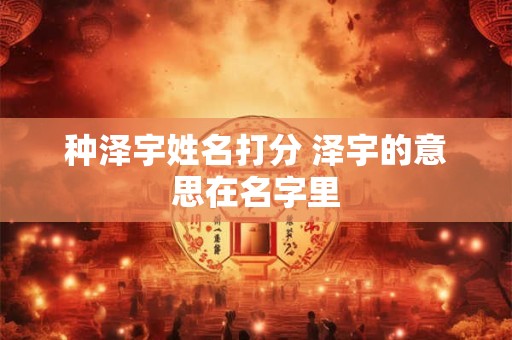 种泽宇姓名打分 泽宇的意思在名字里