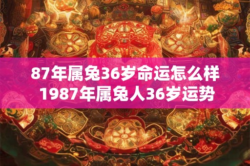87年属兔36岁命运怎么样 1987年属兔人36岁运势