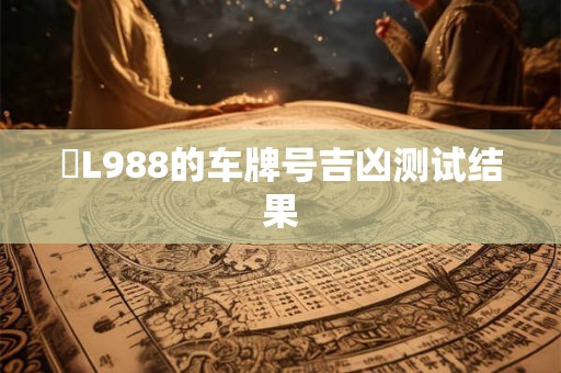 粵L988的车牌号吉凶测试结果