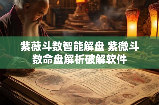 紫薇斗数智能解盘 紫微斗数命盘解析破解软件