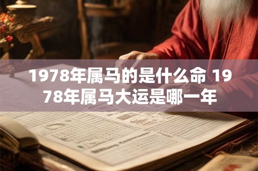 1978年属马的是什么命 1978年属马大运是哪一年