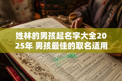 姓林的男孩起名字大全2025年 男孩最佳的取名适用字