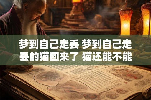 梦到自己走丢 梦到自己走丢的猫回来了 猫还能不能找回来