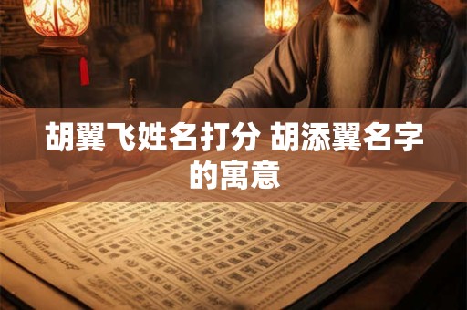 胡翼飞姓名打分 胡添翼名字的寓意