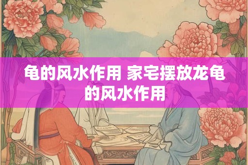 龟的风水作用 家宅摆放龙龟的风水作用
