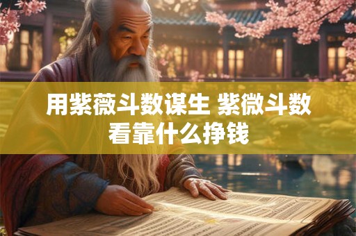 用紫薇斗数谋生 紫微斗数看靠什么挣钱