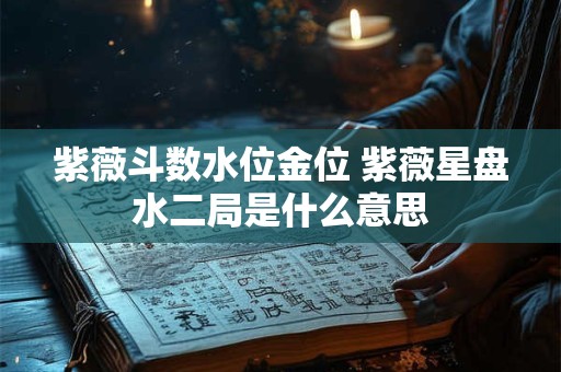 紫薇斗数水位金位 紫薇星盘水二局是什么意思