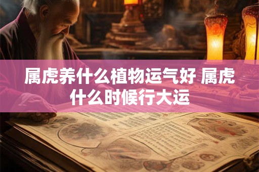 属虎养什么植物运气好 属虎什么时候行大运 属虎养什么植物运气好 属虎什么时候行大运