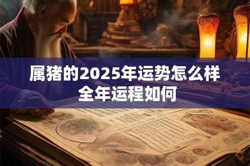 属猪的2025年运势怎么样 全年运程如何
