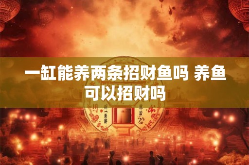 一缸能养两条招财鱼吗 养鱼可以招财吗