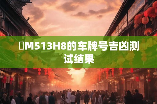 粵M513H8的车牌号吉凶测试结果