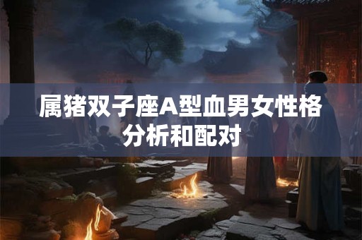 属猪双子座A型血男女性格分析和配对