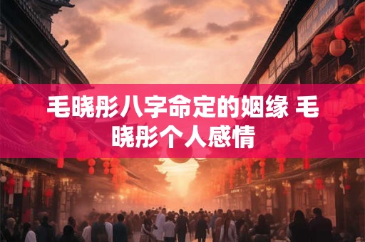 毛晓彤八字命定的姻缘 毛晓彤个人感情