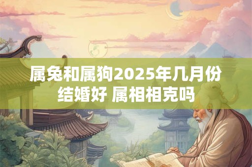 属兔和属狗2025年几月份结婚好 属相相克吗