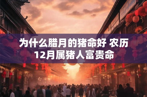 为什么腊月的猪命好 农历12月属猪人富贵命