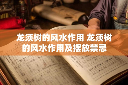 龙须树的风水作用 龙须树的风水作用及摆放禁忌
