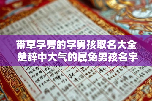 带草字旁的字男孩取名大全 楚辞中大气的属兔男孩名字