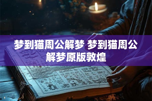 梦到猫周公解梦 梦到猫周公解梦原版敦煌