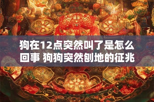 狗在12点突然叫了是怎么回事 狗狗突然刨地的征兆