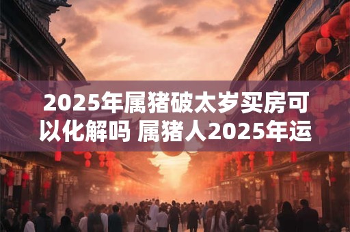 2025年属猪破太岁买房可以化解吗 属猪人2025年运势如何