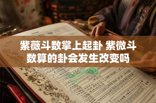紫薇斗数掌上起卦 紫微斗数算的卦会发生改变吗