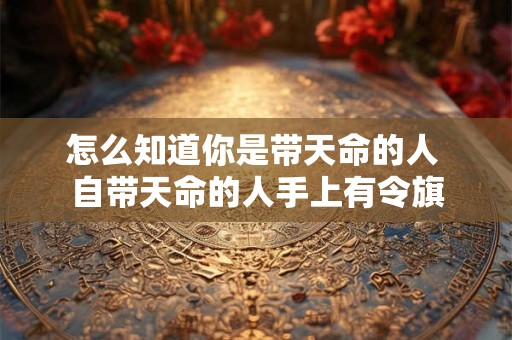 怎么知道你是带天命的人 自带天命的人手上有令旗 怎么知道你是带天命的人 自带天命的人手上有令旗