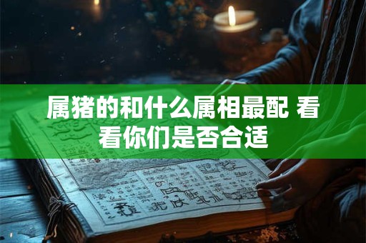 属猪的和什么属相最配 看看你们是否合适