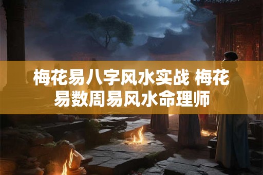 梅花易八字风水实战 梅花易数周易风水命理师