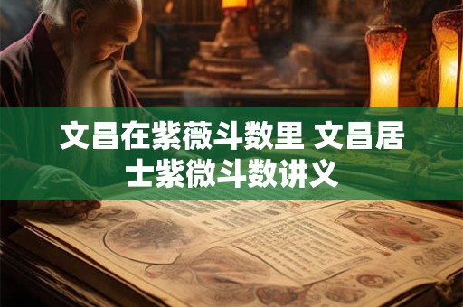 文昌在紫薇斗数里 文昌居士紫微斗数讲义