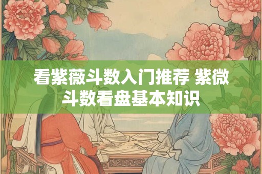 看紫薇斗数入门推荐 紫微斗数看盘基本知识