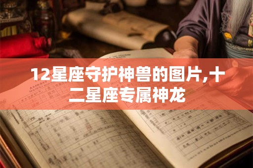 12星座守护神兽的图片,十二星座专属神龙
